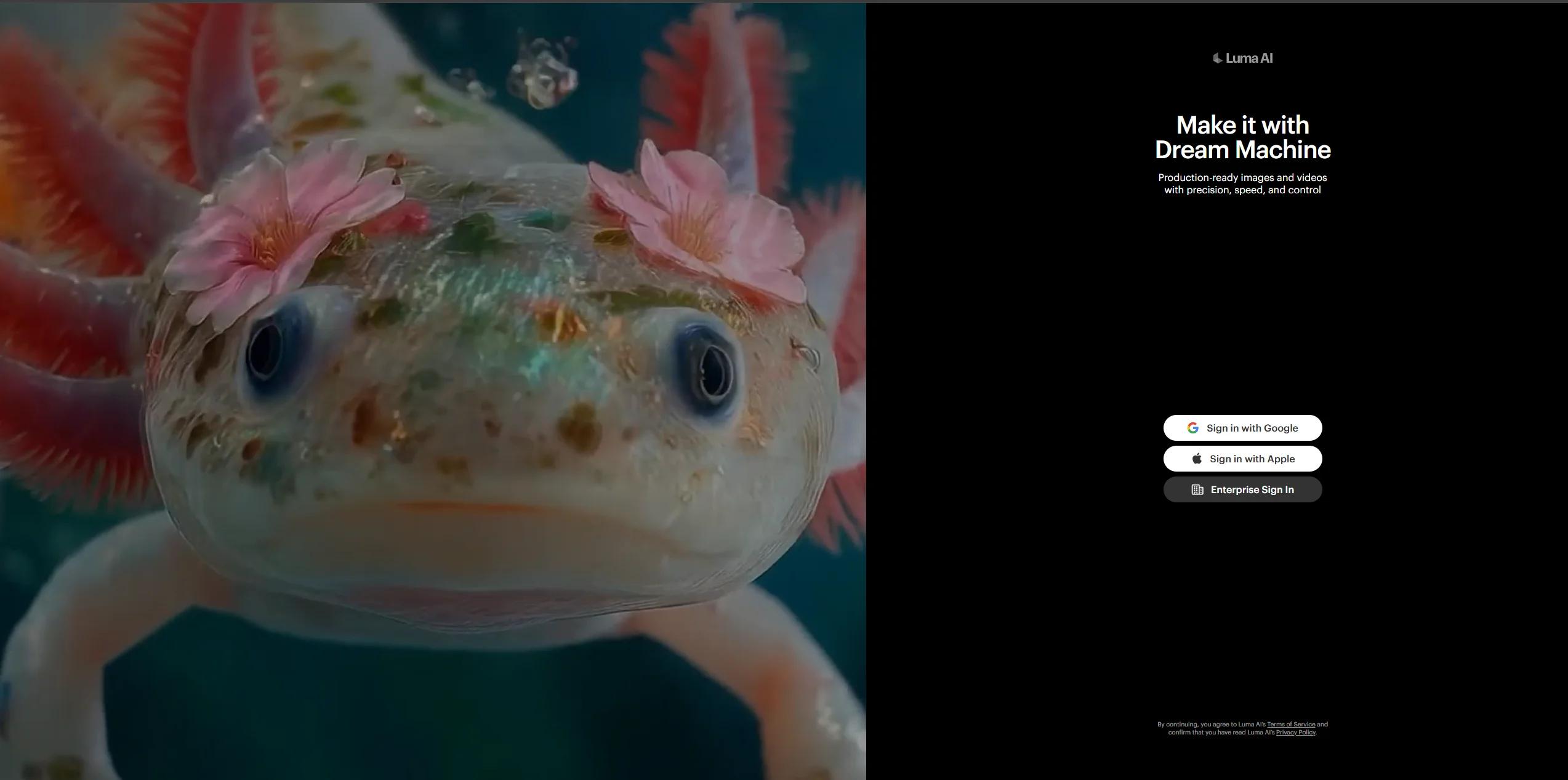 Luma Labs Screenshot, Text-to-Video